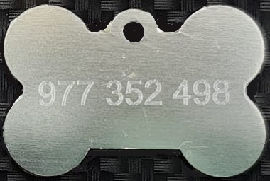 fr-animal-hueso351