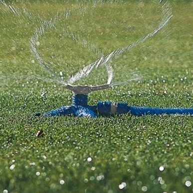 Imagen del aspersor funcionando.