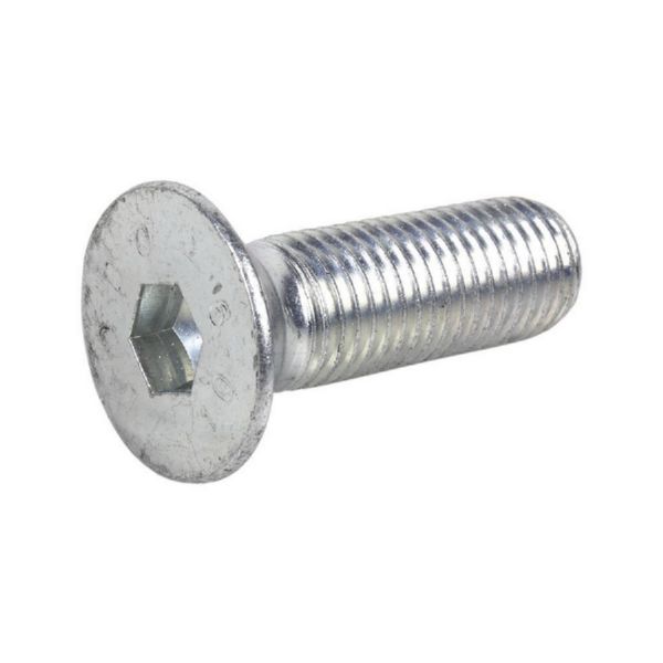 Tornillo Din 7991