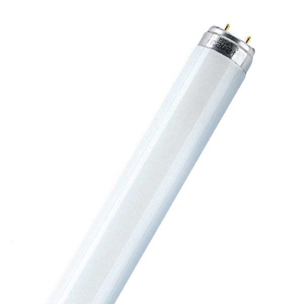 FLUORESCENTE 58W/860 DAYLIGHT DE LUXE