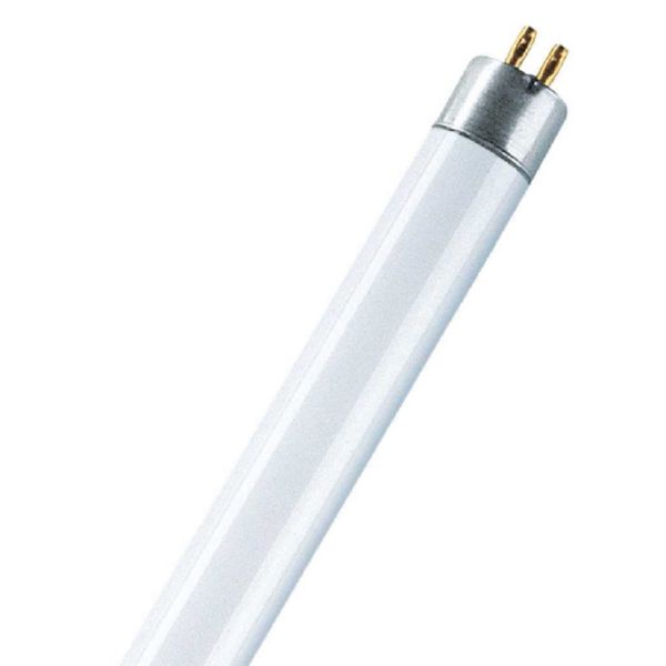 FLUORESCENTE TRIDOSFORO  T5 6W