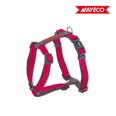 ARNES FUCSIA-GRIS FOREST-BRITISH X-TRM DOBLE PREMIUM 25-40 X 1CM NAYECO